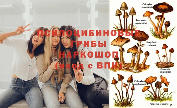 ешки Богданович