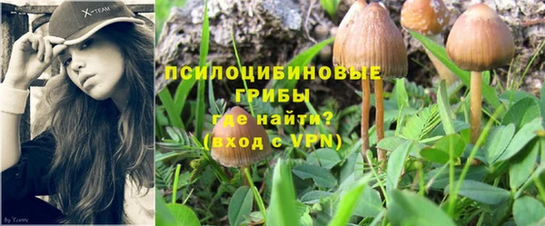 сатива Богородск
