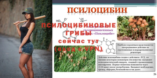 сатива Струнино